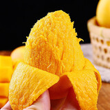 遇见悯农新鲜水果芒果生鲜贵妃芒小台芒送礼佳品热带水果 净重2.5斤【台芒小果40g起】