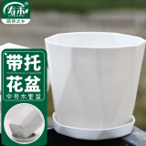 寿禾 花盆加厚绿植发财树种植盆家庭阳台园艺 木里盆中号-浅灰
