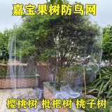 皓鑫防鸟用网果园防鸟天网鱼塘防鸟尼龙网葡萄防鸟用的网果树 3米宽3米长 2.5网口