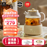 World Kitchen康宁养生壶全玻璃恒温壶煮茶壶煮茶器1L办公室家用花茶壶烧水壶电热水壶（升级标准款+全玻璃盖）