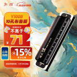 敦煌 煌之谣 10孔布鲁斯口琴 黑色Y1008 C调 初学推荐