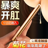 字母社 后庭肛塞新手开肛细长震动棒充电迷你便携肛塞棒前列腺按摩器sm另类玩具 夫妻刺激房事变态成人情趣性用品