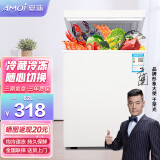 夏新（Amoi）小冰柜家用小型立式 冷冻保鲜储存母乳小冷柜 节能轻音 一级节能/62L【变温冰柜 循环匀冷】