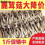 特产优联鹿茸菇干货鹿茸菌500g古田脆脆菇新鲜土特产煲汤食材香菇鹿茸