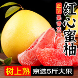 平和琯溪蜜柚 福建红心柚子 新鲜水果整箱 中秋送礼团购 孕妇蜜柚 5斤装（净果4.5斤 约2个果
