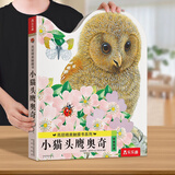 乐乐趣触摸书婴儿宝宝绘本0-3岁地板书 小兔比利小熊波比亮丽精美触摸书 蒙氏早教睡前故事书幼儿图书启蒙洞洞翻翻机关书 触摸书-小猫头鹰奥奇