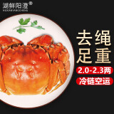 【活蟹】湖鲜阳澄 大闸蟹 去绳足重 2.0-2.3两 12只 鲜活六月黄现货超大螃蟹生鲜礼盒装