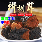 伊梵麦中药材俄罗斯进口桦树茸桦树荣白桦茸茶桦树泪桦褐孔菌可搭糖尿岛 桦树茸500g(大块)