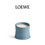 罗意威（LOEWE）柏树球香薰蜡烛170g小号新婚送女友高档伴手礼生日新年情人节礼物