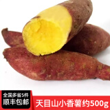 绿食者 天目山小香薯约500g 新鲜蔬菜小番薯红皮黄心红薯地瓜香甜软糯