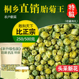 菊花茶桐乡特级胎菊王头采正宗杭白菊贡菊花茶散装新花草茶叶 500克