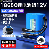 德力普（Delipow）18650锂电池组 12V大容量户外音响太阳能灯玩具车可充电电池