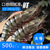 海速达 鲜活船冻黑虎虾 净重500g23-25只 大虾新鲜速冻老虎虾海鲜水产
