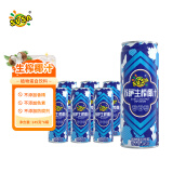 SUSA苏萨生榨椰子汁 椰奶 植物蛋白饮料 245ml*6罐/组 宴请送礼