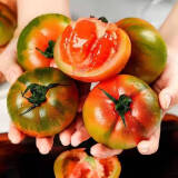优仙果优仙果新鲜普罗旺斯西红柿 生吃柿子茄果瓜新鲜蔬菜 草莓西红柿 3斤 约15枚左右