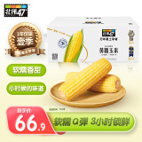 北纬47°（BEIWEI） 黄糯玉米4斤(200g*10穗)低脂玉米棒东北黄糯玉米杂粮 杂粮礼盒