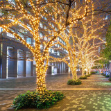 瑀火太阳能庭院照明灯彩灯户外防水氛围串灯树灯夜景新年装饰灯带灯串 102米1000灯【超亮暖光】-带遥控 太阳能彩灯（太阳能+USB充电）