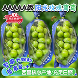 庾丰四川大凉山阳光玫瑰葡萄 新鲜水果整箱青提 团购彩箱送礼 5斤彩箱（净果4斤）整串大果 源头直采 JD/顺丰送货上门
