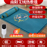 南阳电加热艾绒热敷毯家用艾灸床垫全身理疗加热艾草电褥子披肩 玉兔绒绿170*80