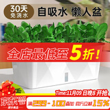 德沃多肥料种菜盆长方形种植箱塑料加厚自动吸水花盆种菜箱蔬菜种植盆 小号