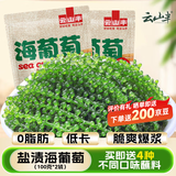 云山半盐渍海葡萄100g*2即食儿童凉拌菜鱼子酱火锅商家用赠4种蘸料海藻