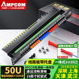 安普康（AMPCOM）电话配线架25口50口语音RJ11超5类网络配线架24口打线48口网线模块镀金CAT5E机柜RJ45网络跳线架 电话25口 1U机架式【线路板式】