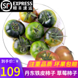 味小仙辽宁丹东草莓柿子（发顺丰）铁皮柿子绿腚油柿子西红柿番茄蔬菜 5000g