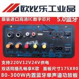 特大功率蓝牙功放板220V12v24v户外拉杆箱改装音响低音炮主板 A20升级款-6-15寸大功率