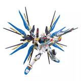 万代（BANDAI）RG14 强袭自由高达拼装模型 