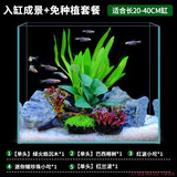 疯狂水草（FKSC）真水草鱼缸造景套餐净化水质懒人鱼缸水草植物直接入缸蜈蚣草 【坨草】免种植组合适合20-40缸