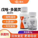 国光42%戊唑多菌灵多肉月季兰花卉植物白粉黑斑炭疽病药液体农杀菌剂