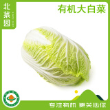 北菜园有机大白菜500g 新鲜有机蔬菜 【进店多样加购】火锅食材