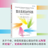 万千心理.整合系统治疗实践