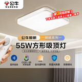 公牛（BULL）吸顶灯明皓全光谱客厅灯MX-B055E-CS无极调光55W Ra97显指 送安装