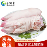 赛鲜者猪蹄新鲜生猪蹄子生鲜前蹄鲜猪手带筋有嚼劲现杀小香猪猪蹄 带筋土猪蹄(8只)