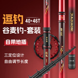 佳钓尼（JIADIAONI）谷麦竿套装碳素超轻超硬三定位前打竿逗钓鱼竿钓鱼竿手竿全套 8m 战逗谷麦竿套装