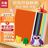 天章 （TANGO）A4纸12色硬卡纸加厚 彩色封面纸 儿童幼儿园手工折纸学生剪纸DIY绘画画纸 十二色混装230g 60张/包