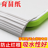 种菜记 芽苗菜种子纸上种菜无土栽培萝卜空心菜豌豆松柳盆栽蔬菜籽四季 育苗纸100张