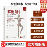 解剖列车 : 手法与运动治疗的肌筋膜经线 : 第4版  新版  北京科学技术