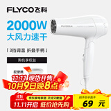 飞科（FLYCO）电吹风机家用发廊大功率2000W速干恒温便携可折叠白色FH6232