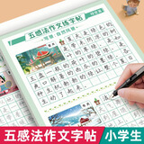 【全网低价】六品堂 五感法作文练字帖小学生字帖练字专用三年级四年级五六年级每日一练楷书钢笔硬笔书法练字本作文素材