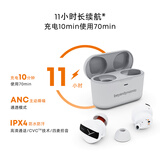 拜雅（beyerdynamic） 费兰朵 FREE BYRD 真无线主动降噪蓝牙耳机音乐入耳式 安卓苹果通用 蓝牙5.2 灰色 【送礼推荐】