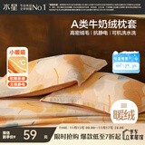 水星家纺枕套牛奶绒冬季双面保暖对枕套抗静电A类枕头罩一对装双人48x74cm