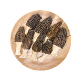 【春菜】脆脆鲜羊肚菌100g