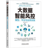 大数据智能风控：模型、平台与业务实践