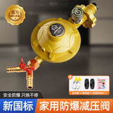 家韵（jiayun）煤气减压阀双插0.6家用液化气防爆煤气安全阀燃气阀门 【无表款】金色0.6双宝塔嘴