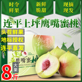 酷奇象 正宗连平鹰嘴蜜桃礼盒装【闪送-多地次日达】广东河源甜脆水蜜桃 10斤【店主推荐-送礼首选】 巨无霸-单果约190g 够大吃起来爽
