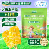 华田禾邦【日日鲜】水果玉米段2斤 新鲜甜黏玉米粒 低脂代餐早餐 烧烤食材