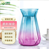 吕姆克花瓶摆件插花瓶玻璃彩色客厅餐桌书房宿舍渐变家居饰品装饰5401