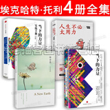 当下的力量全集 活在当下指南当下的力量实践手册 人生不必太用力新世界 埃克哈特托利作品集 人生的智慧叔本华的书从容淡定过一生：李叔同传+人生哲学人间值得佛系不抱怨的世界 张德芬推荐励志成长成功书籍 当